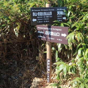 笹平の分岐