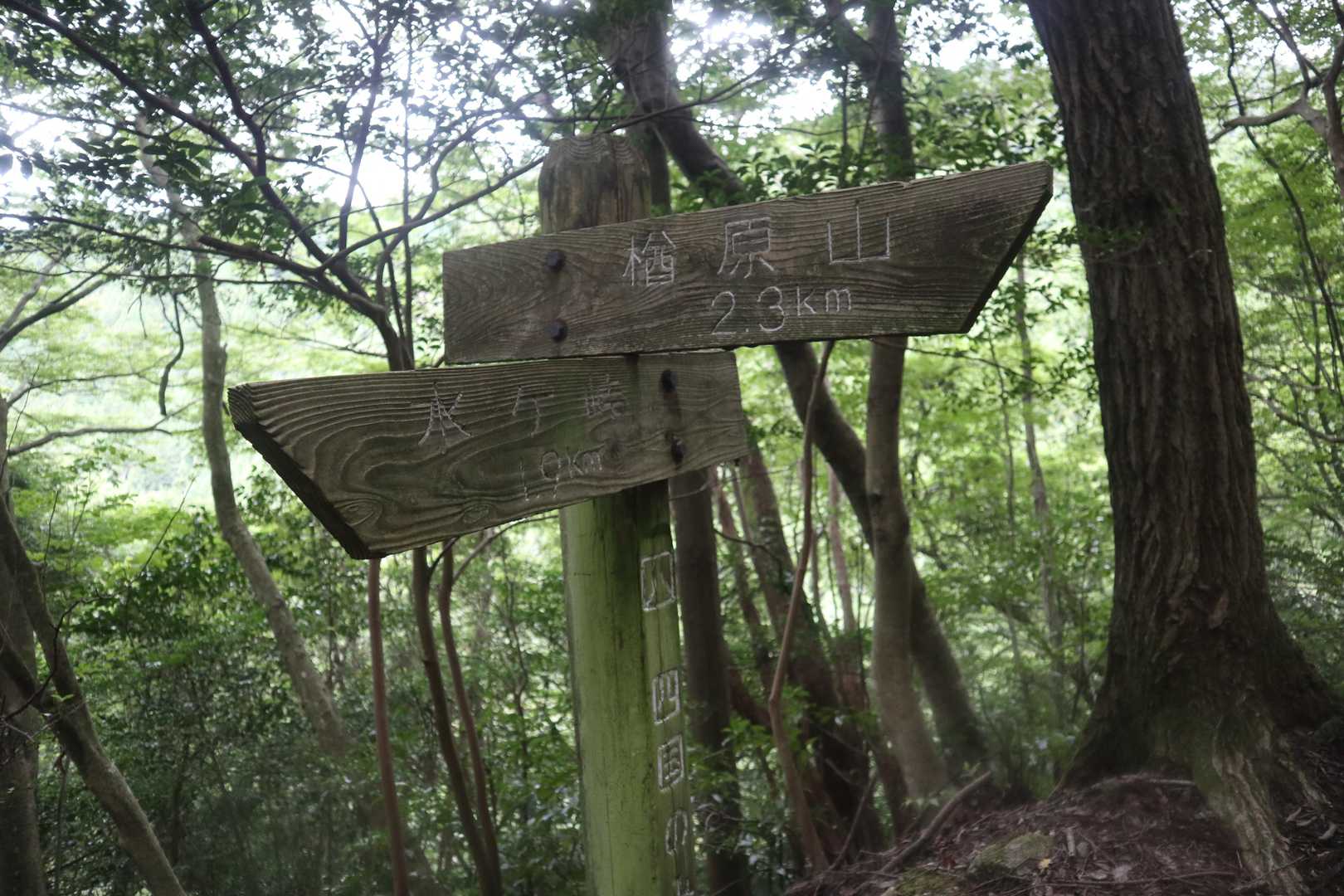 楢原山へ2.3km