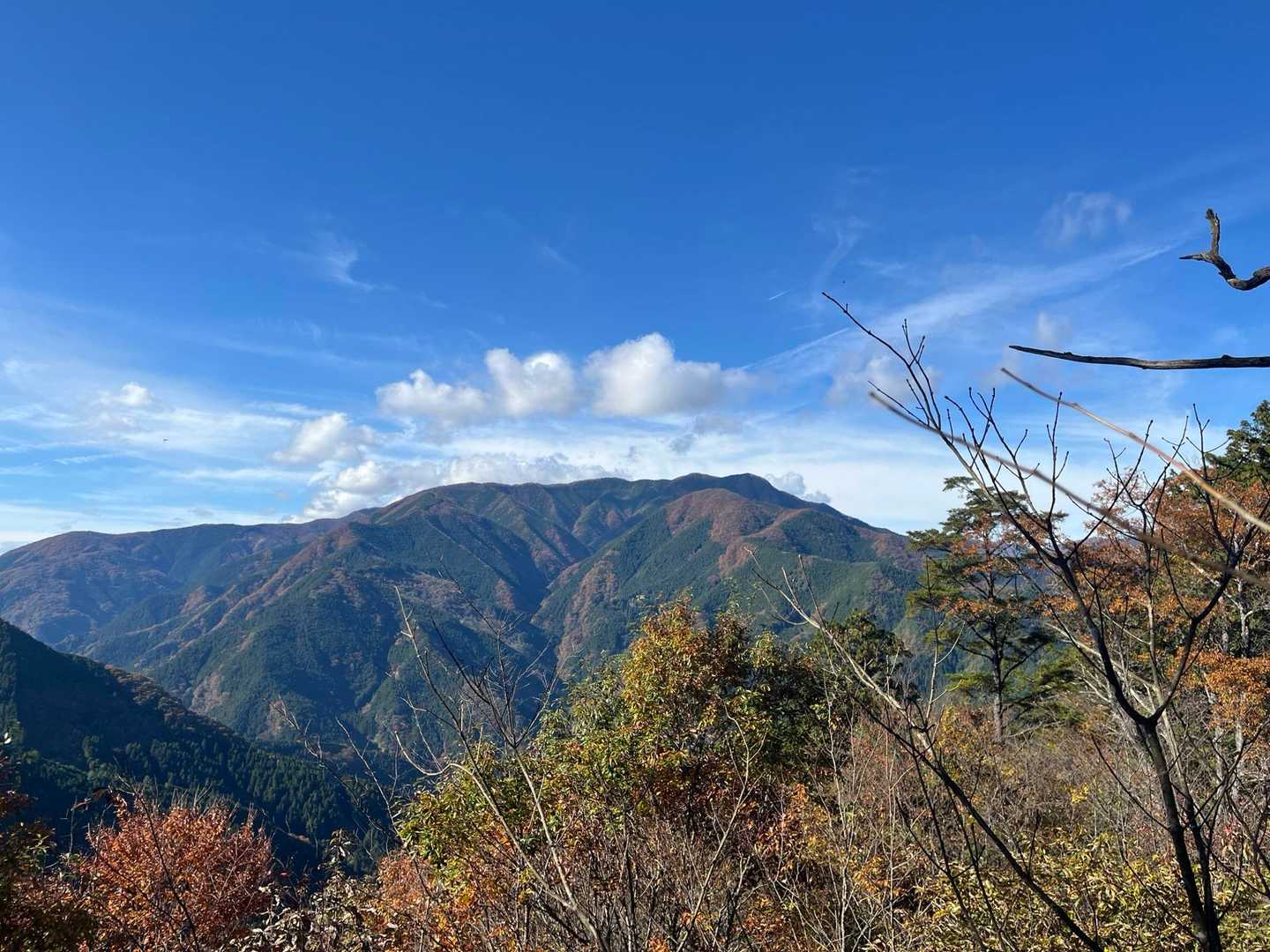 御岳山駅-天狗の腰掛け杉-芥場峠-大岳山-トバノ岩山-中岩 縦走コースの写真