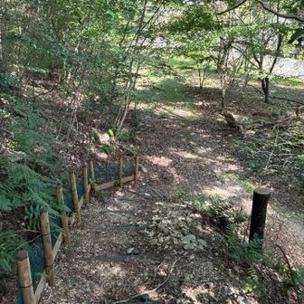 いよいよ下山^o^東観望よりすぐに降りられると思っていたのですが、距離も時間も長かった⏰
