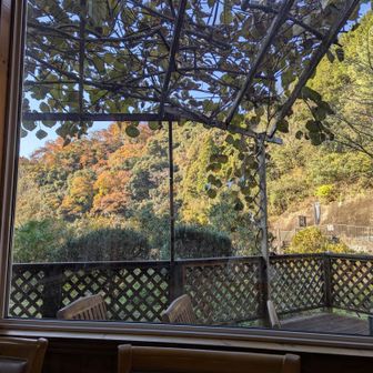 窓からの景色が良き😍