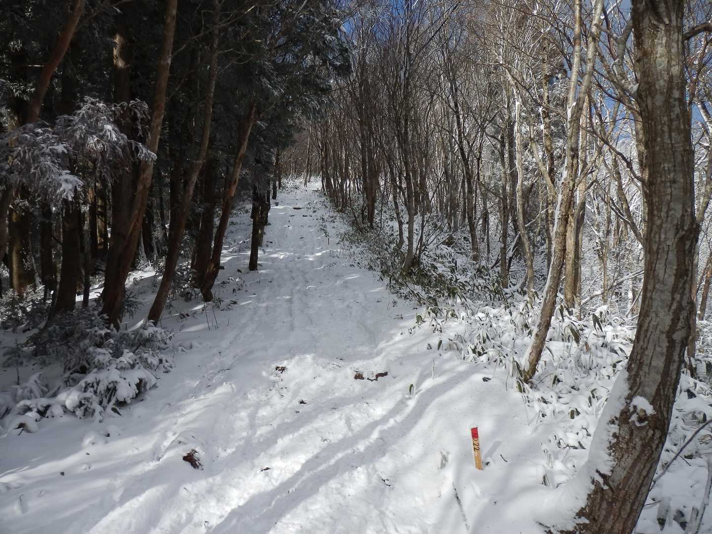 アイゼンが良い仕事してくれます