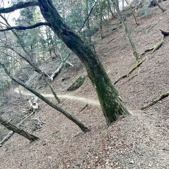 時間が遅いせいか空いてますね…