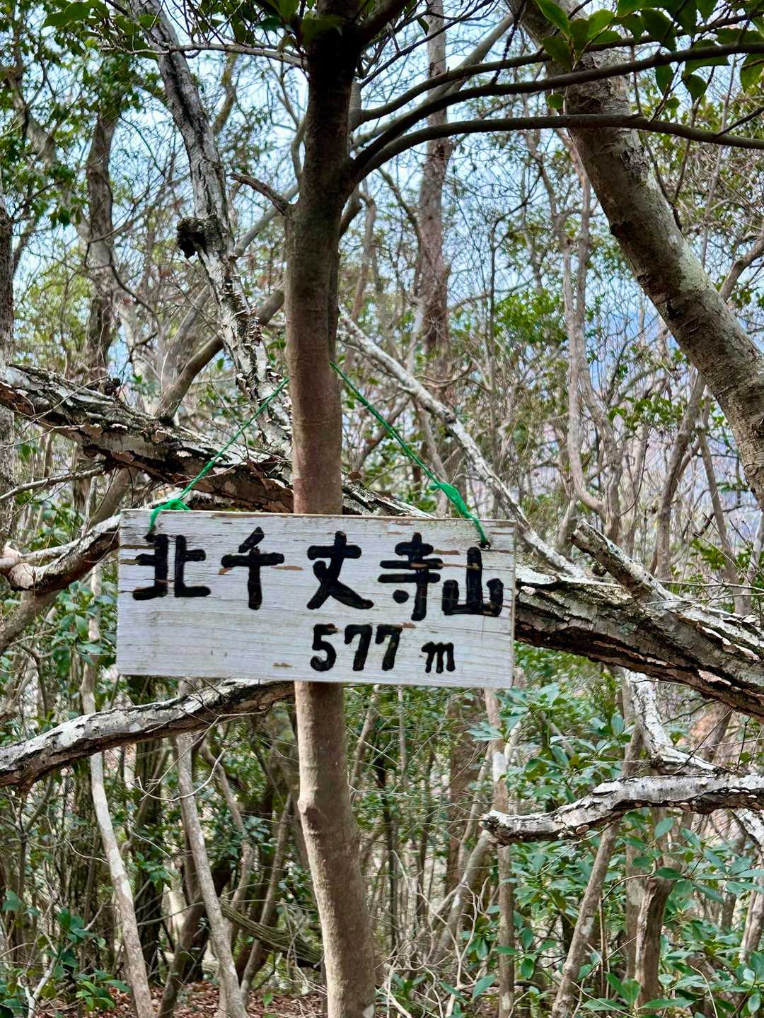 グッと下ってヒョイと登ると
北千丈寺山山頂