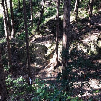 古坂峠→分岐注意⚠️
写真で伝わらないけど、岩場を降りると左へ歩きやすそうな道がありますが、次のかがみ山のピーク目指すなら、降りて正面に向かってまた登る感じです。