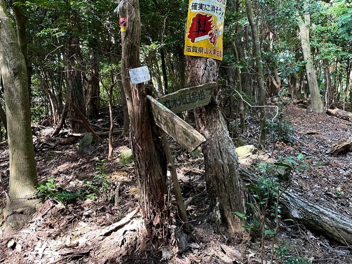 分岐点　ようわからん！
袴腰山の方を見ると えらい下るやん！