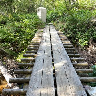 ところどころ木道で整備されているところもあって、かなり歩きやすい登山道でした。