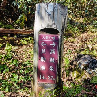 大倉分岐
燕温泉までまだありますね
さらにしばらく行くと…