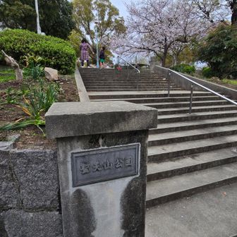 着いた～
多くの方がラジオ体操してました。