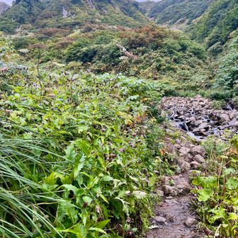 荒菅沢を横切る　　昔は荒菅山と呼ばれていたそうです