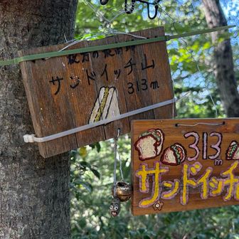 サンドイッチ山頂上