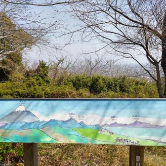 天気が良ければ伊豆まで見えるのに…。