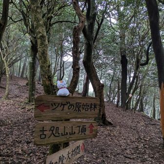 屏山から戻ってきたら真ん中ルートへ