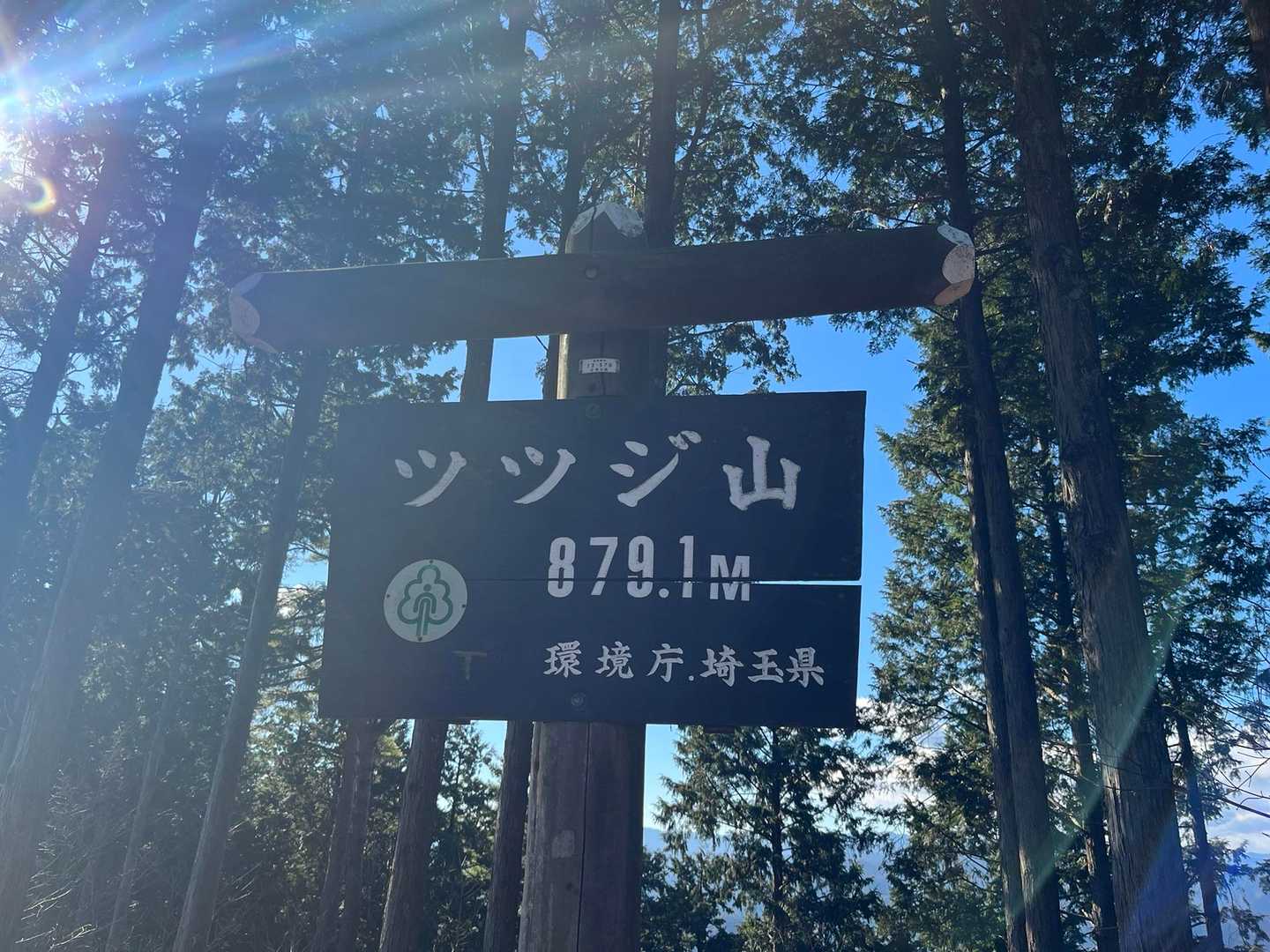 そして、ホントのツツジ山！
このちょい手前、ネットがはってあったんだけどに、何度もネットにぶつかってくる獣がいました😱　怖くて何だったのかは、確認出来ず、しばらく待ってから進みました。