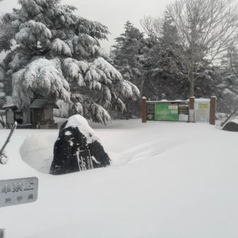 小田越え
風の抜ける強風地帯
休むなら森の中が良いです