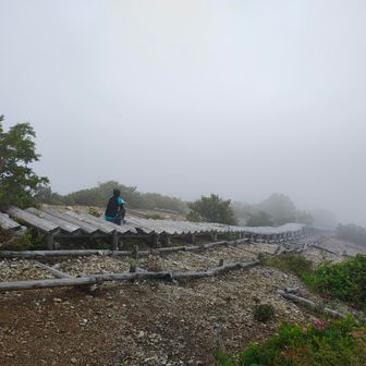 天空階段はガスガスでしっとり☁
