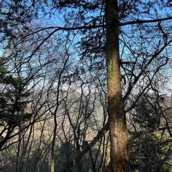 展望は冬枯れの季節やっとこの程度だけど
どこか落ち着くお気に入りの場所