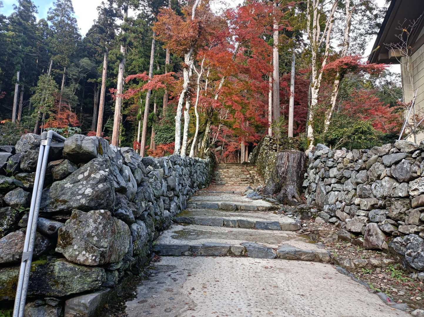 釈迦谷山-上ノ水峠-仏栗峠-栂尾町バス停 縦走コースの写真