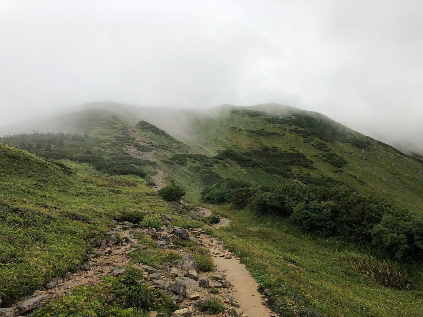 ガスが飛んでこれから登る山が見えました。薬師岳ではありません。