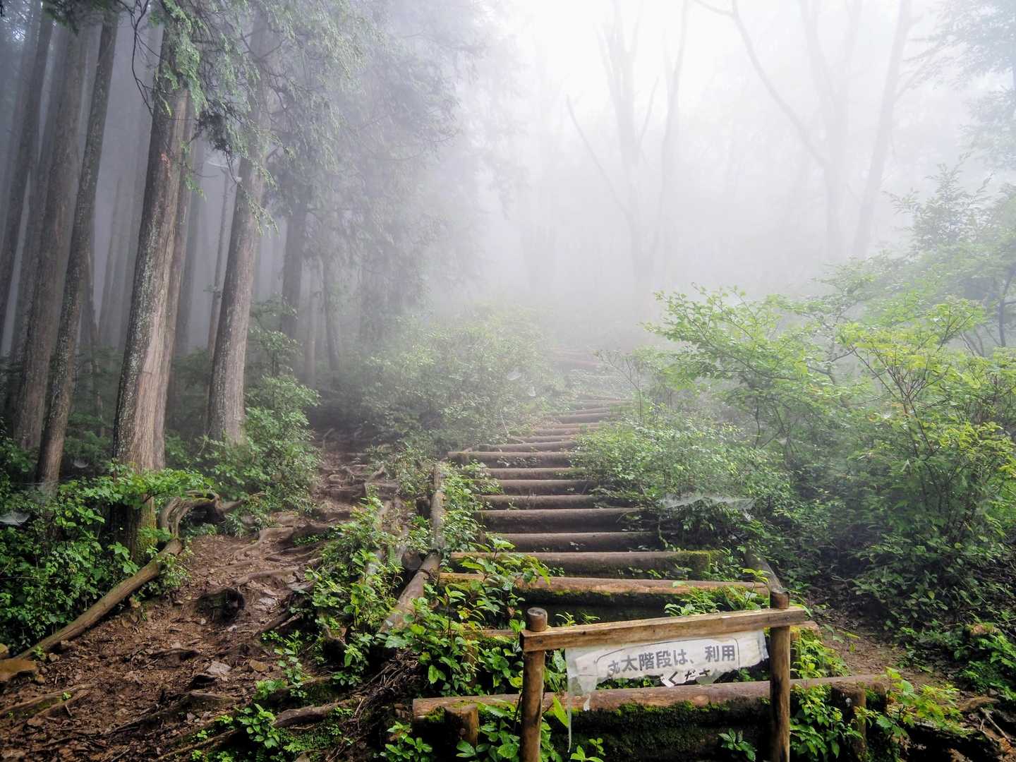 これを登りきればゴンジリ峠