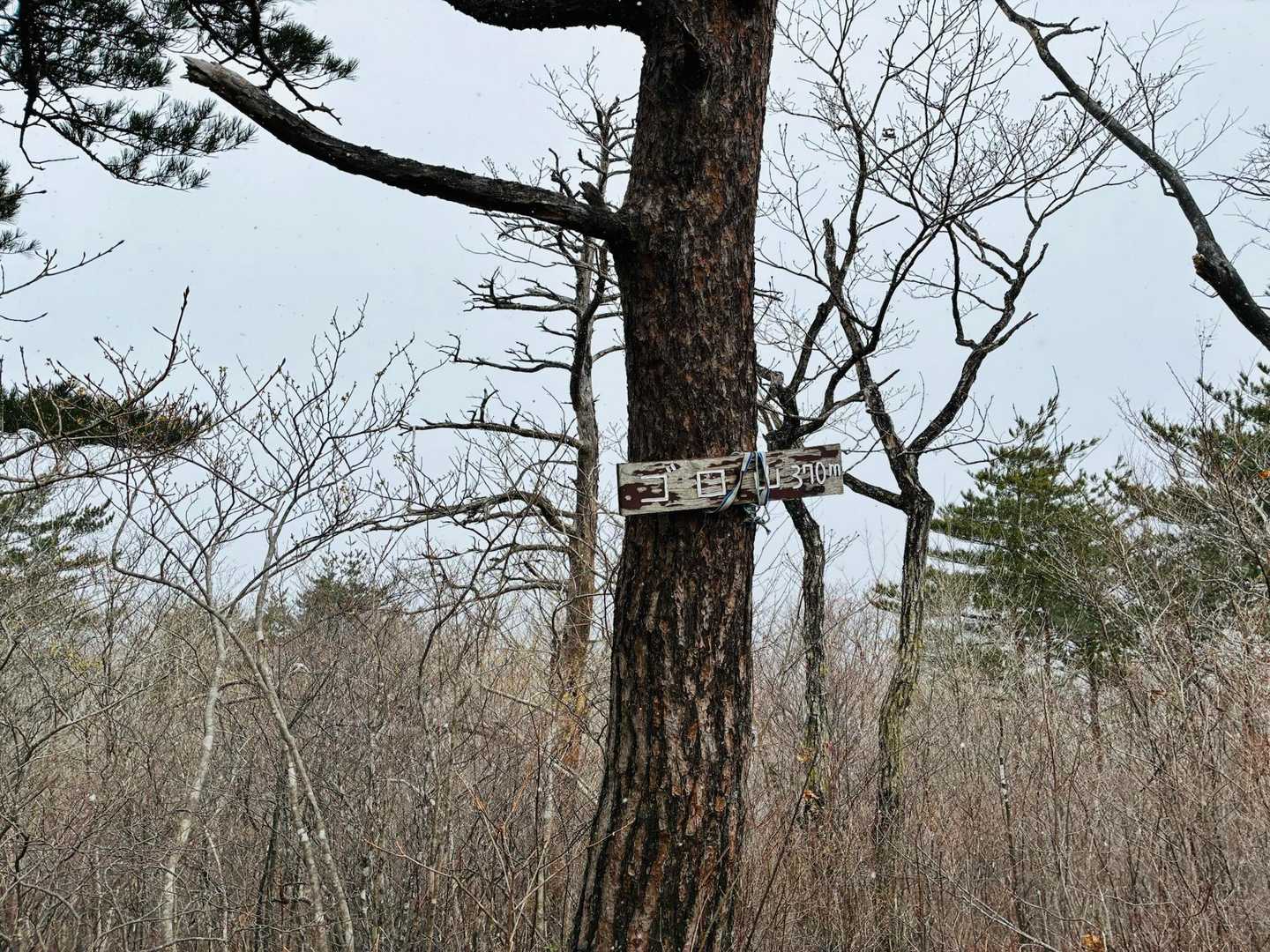 ゴロ山なのか五郎山なのか問題⛰️