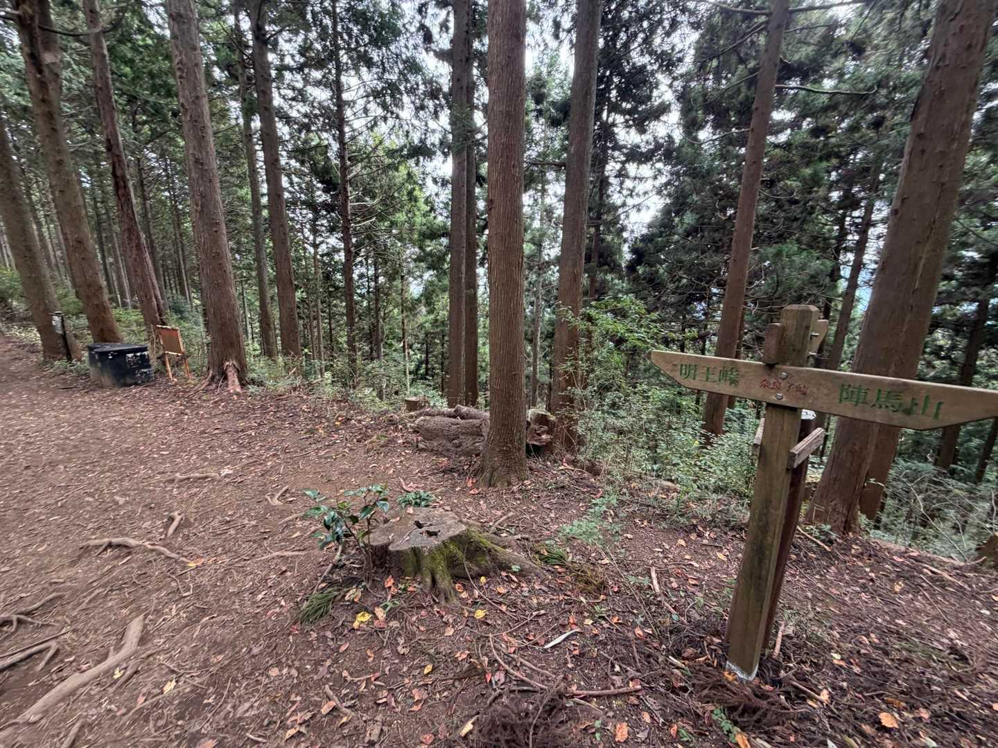 陣馬高原下バス停-陣馬新道登山口-陣馬山-南郷山-奈良子峠 縦走コースの写真