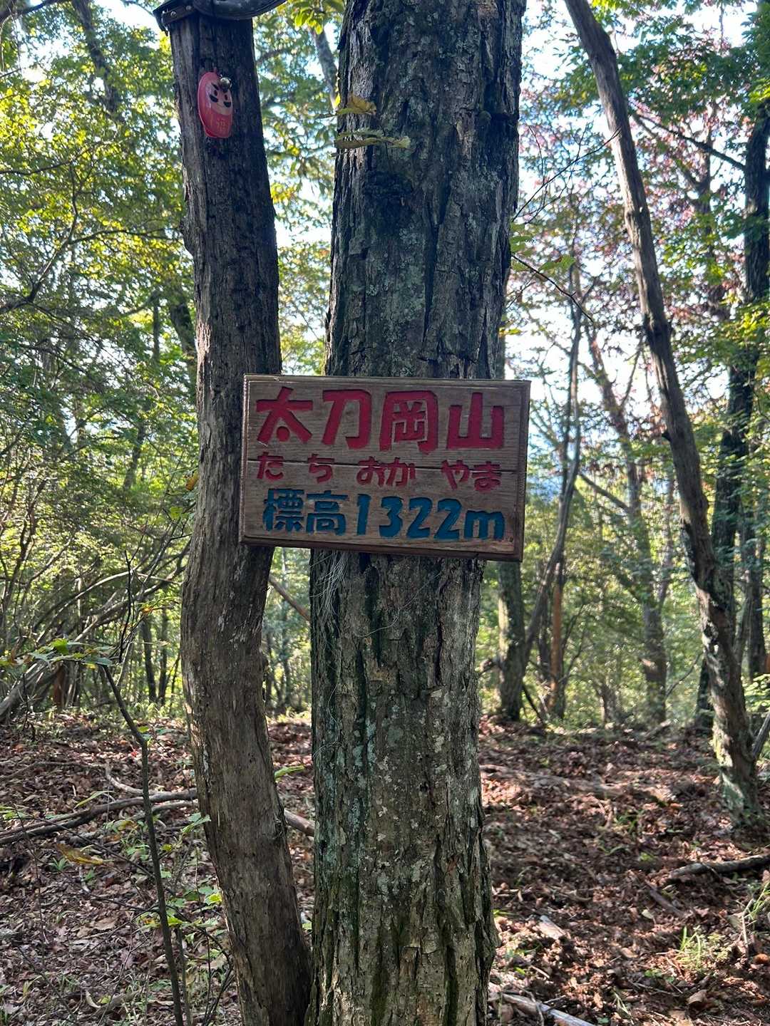 こちらが本当の太刀岡山山頂⛰️
分かりにくて一度通り過ぎてしまいました😅