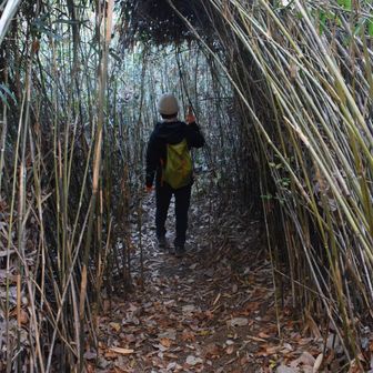 トトロコース案内