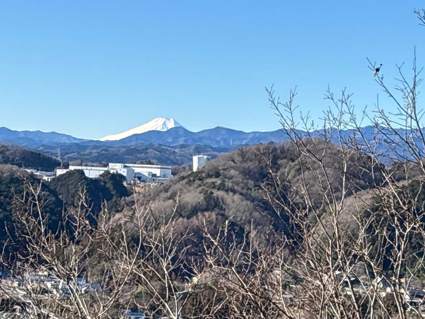 吾野駅-大高山-吾野ノ頭-天覚山-東峠-久須美峠-久須美ケ 縦走コースの写真
