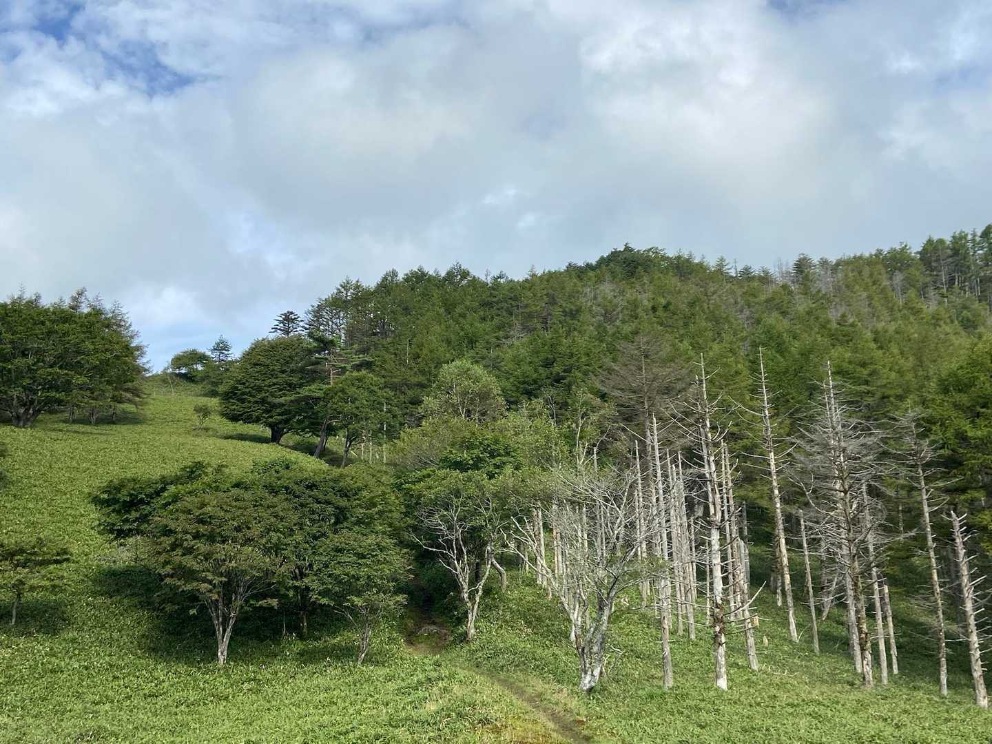 古峠-和田山南峰-和田山北峰 往復コースの写真