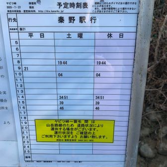 ヤビツ峠まで下りてきて、平日はバスがないことに気づく。