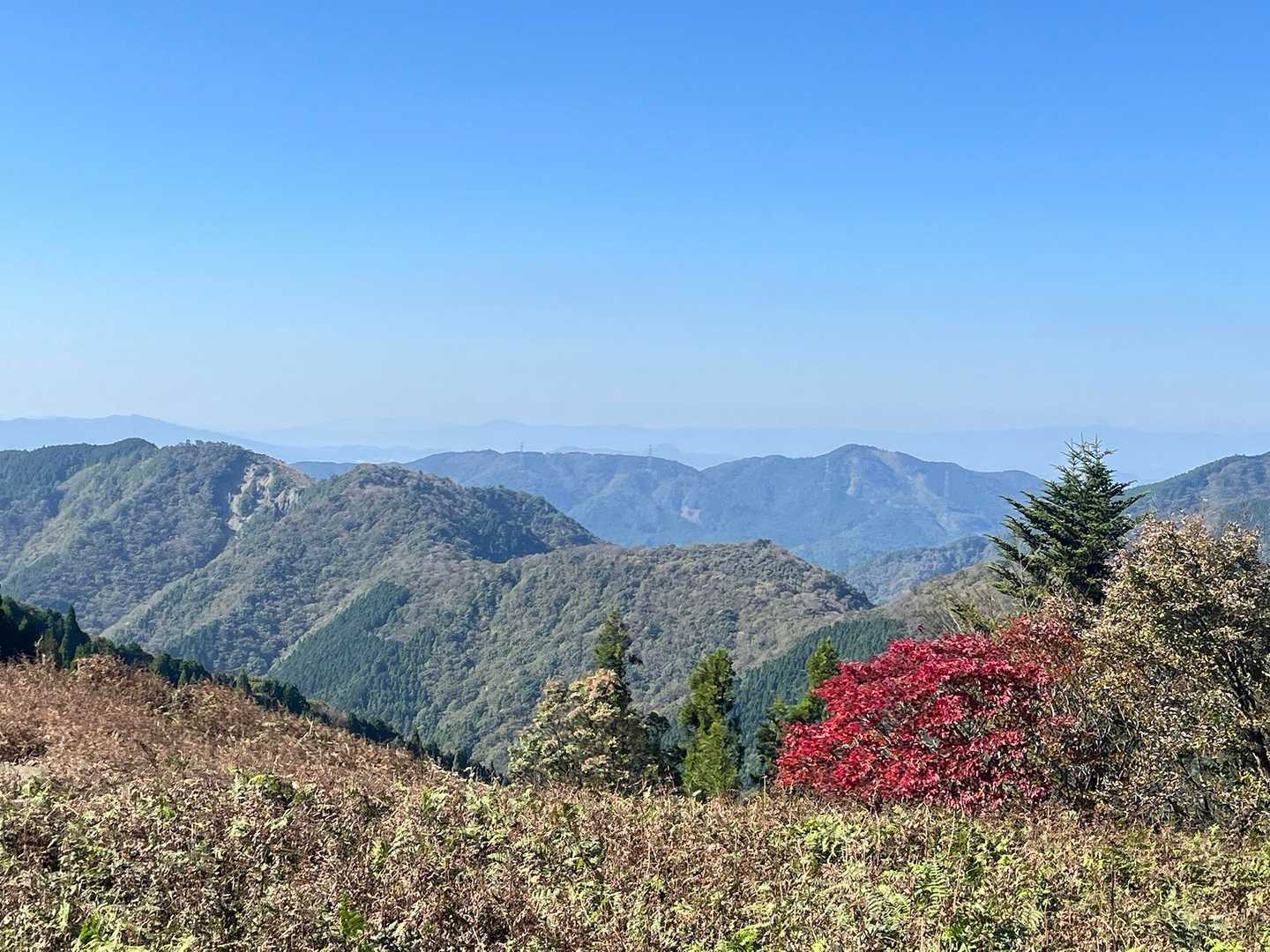 目の前は能登ヶ峰とか鹿の楽園とかサクラグチとか、、とにかく展望がいい