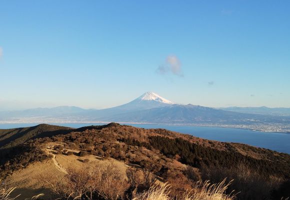 達磨山の最新登山情報 / 人気の登山ルート、写真、天気など | YAMAP