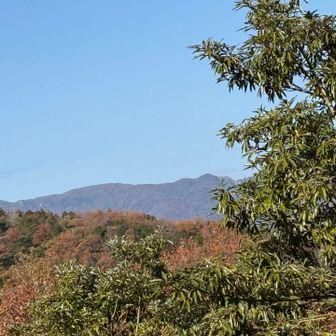 中央奥
西方ヶ岳