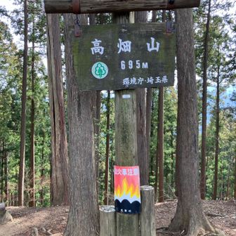 高畑山（たかはたやま695m）