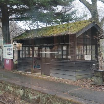 沢入駅です
あっという間に群馬に戻ってきました
ロケ地で有名になった場所で紫陽花や紅葉の頃、よくさくらと遊びにきました