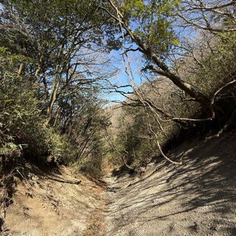 最後はロープがないとズルズルのザレ場