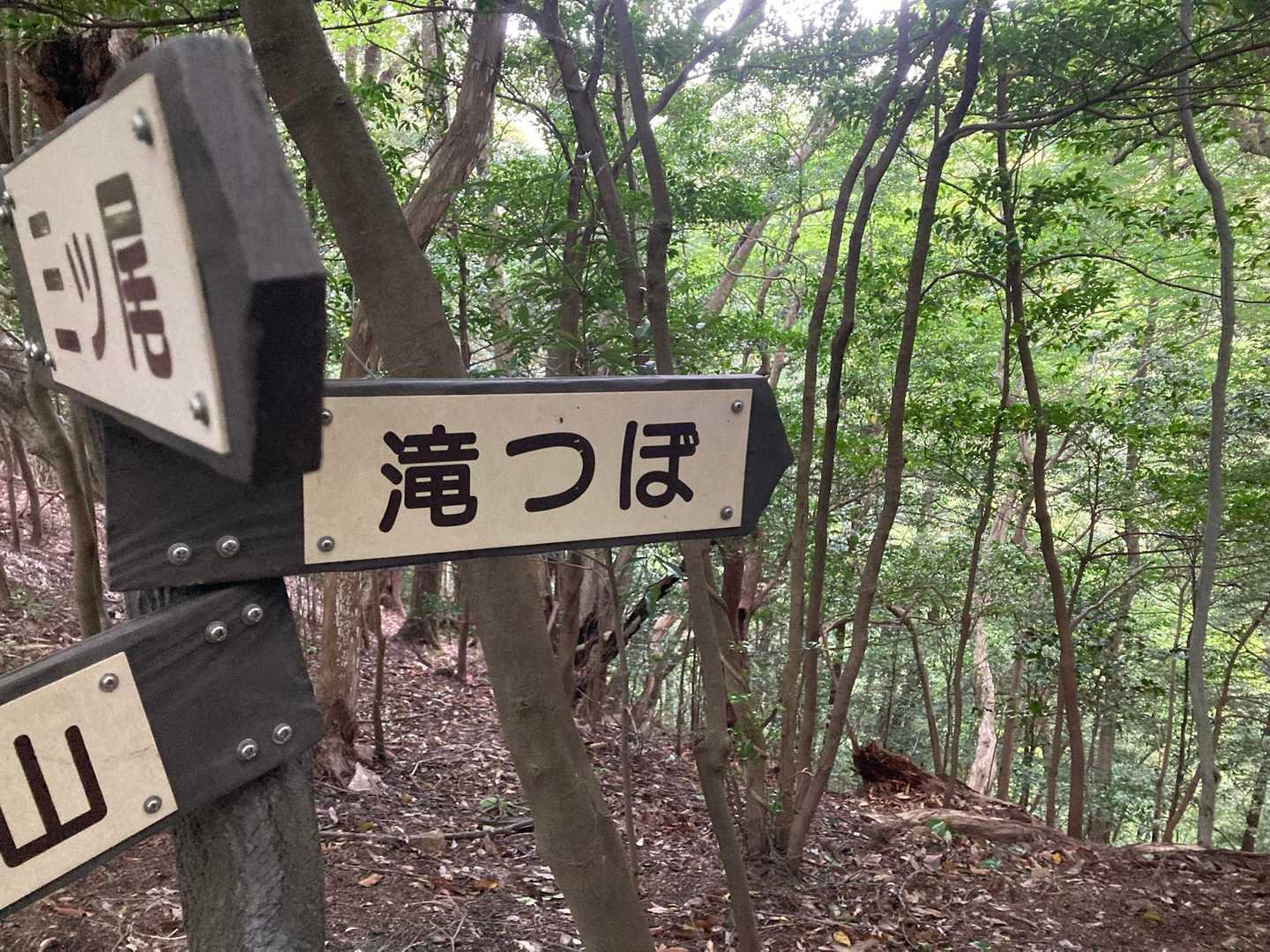 登山口に6時着🚗
満車🈵でした〜
さすが、アケボノツツジ🌺

ゆきにゃんのフォロワーさんのたんたんまるさんと遭遇！
握手を求められたけど、💩した後だったのでその旨伝えて拒否🙏

お互い💩した後だった😆