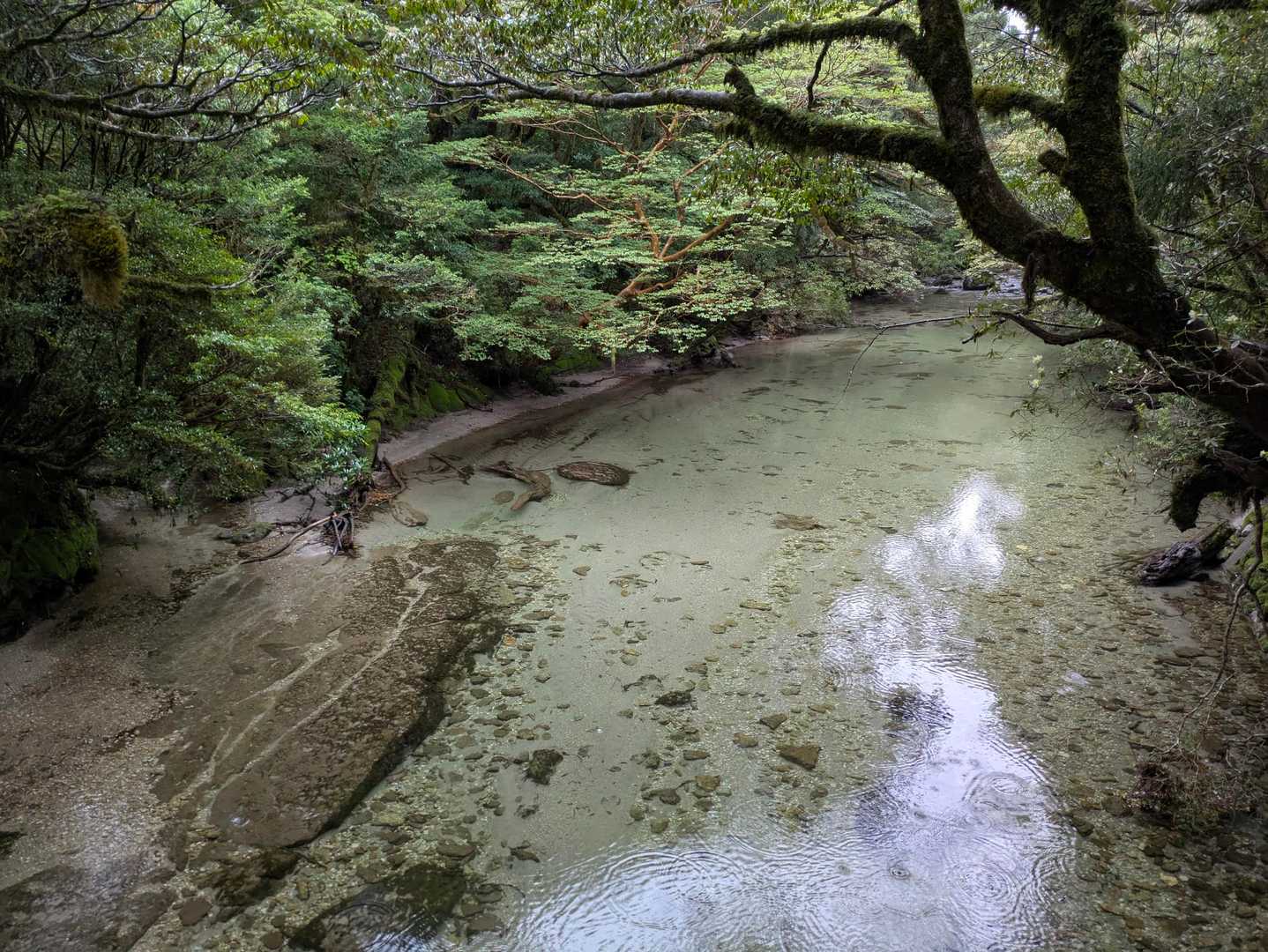 小雨での出発でした
水がきれい