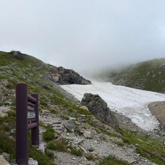 雪渓割と残ってる