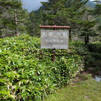 天祥寺原ここから最後の登りで大河内峠