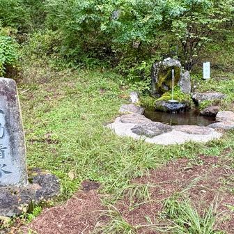 こんこんと水が出てます