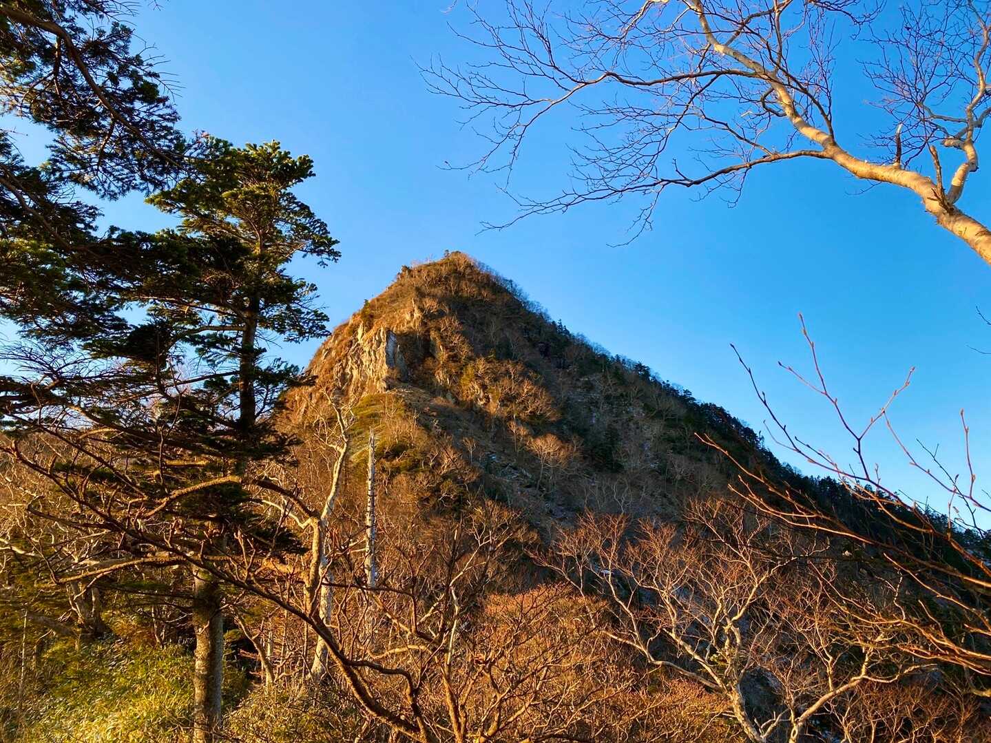 金精山の写真