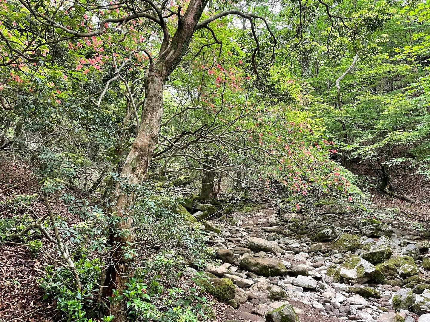 いつもの光景