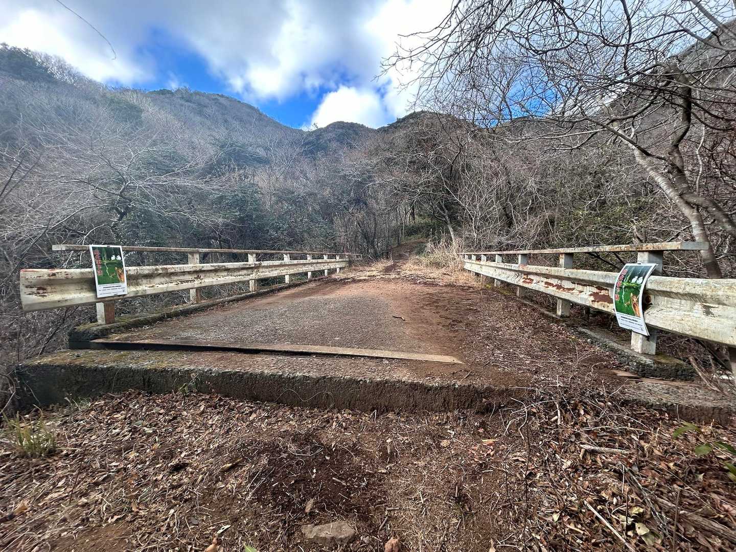 下は道路！