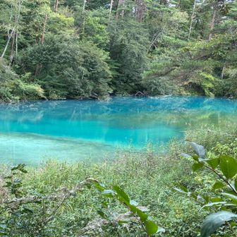 青沼