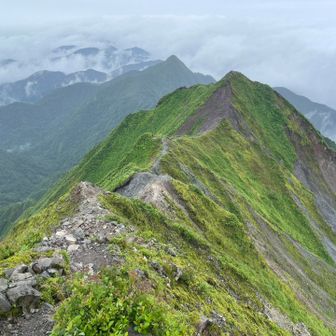 まだまだ細尾根