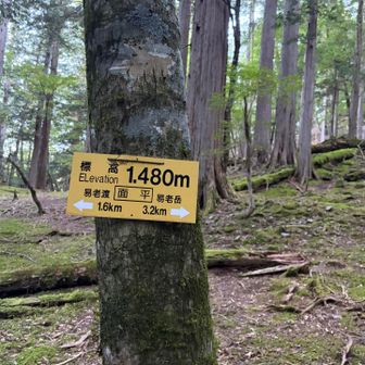 まだまだ