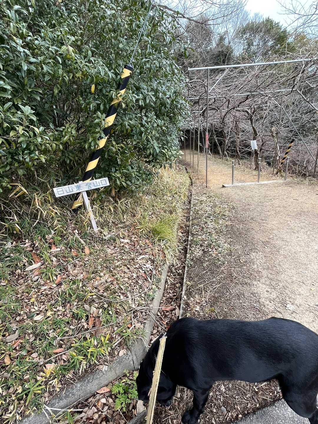 日山の東登山口です。