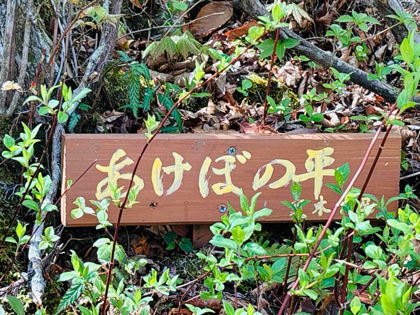そろそろアケボノかな
この表示板はももさんの手作り
